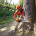 Kép 3/4 - Stihl MS 362 Motorfűrész,40cm/16",36RS